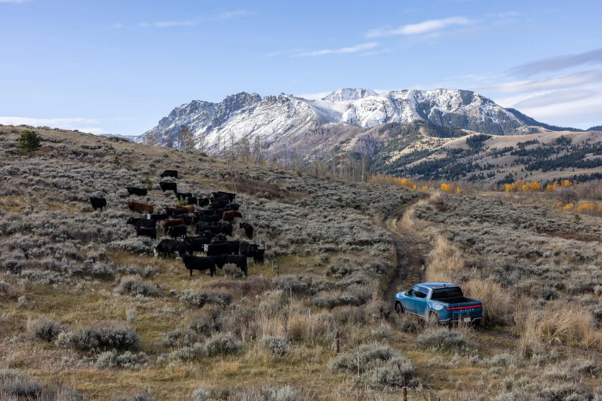 ALLDATA Becomes First Third-Party Provider to Add Electric Vehicle Manufacturer Rivian to Repair Software