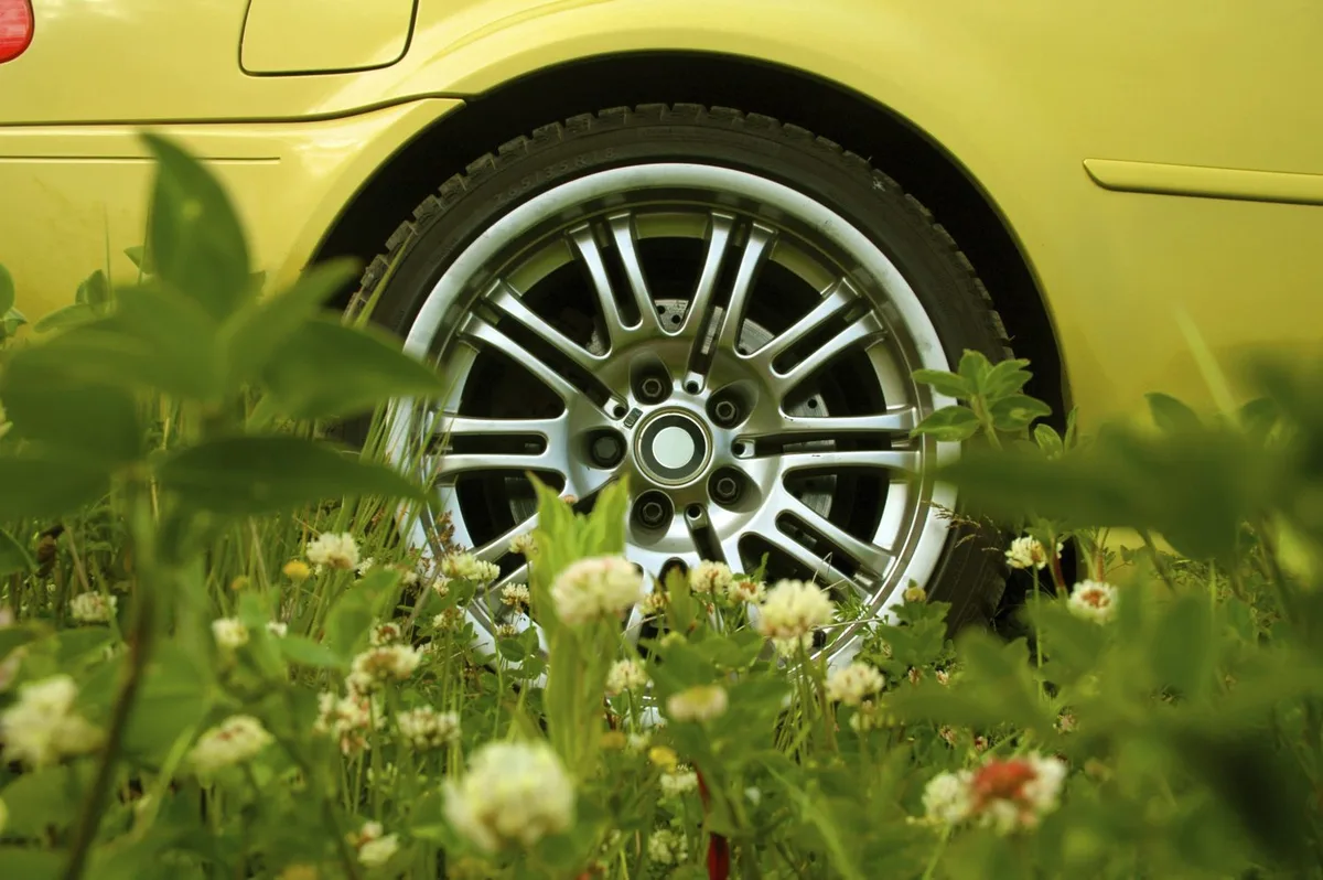 Tires can now be produced from trees and grass
