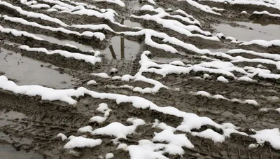 Is climate change killing off studded tires?